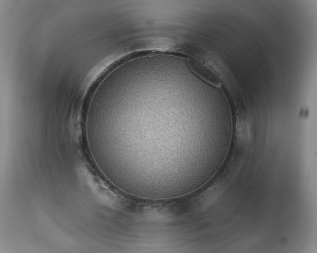 X0000113220532200909241450