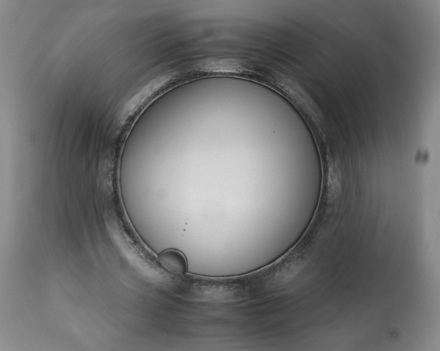 X0000113220533200909241450