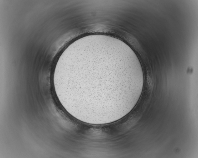 X0000113220534200909241450