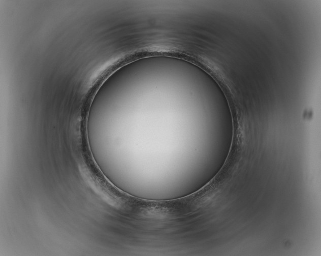 X0000113220535200909241450