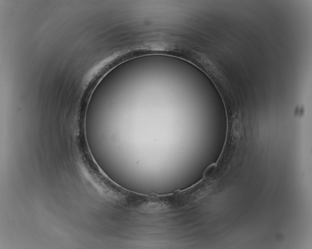 X0000113220536200909241450