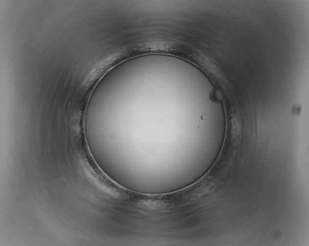 X0000113220537200909241450