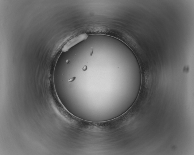 X0000113220538200909241450