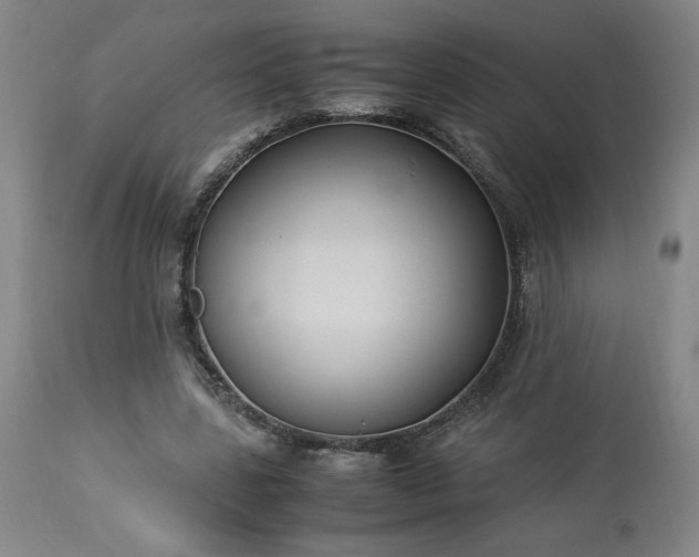 X0000113220539200909241450