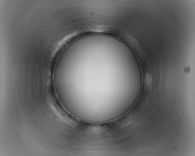 X0000113220540200909241450