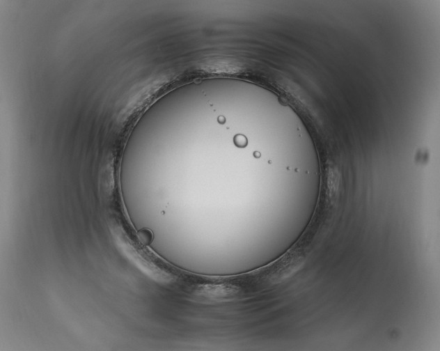 X0000113220541200909241450