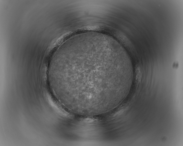 X0000113220542200909241450