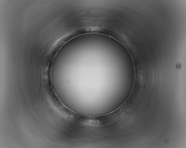 X0000113220543200909241450