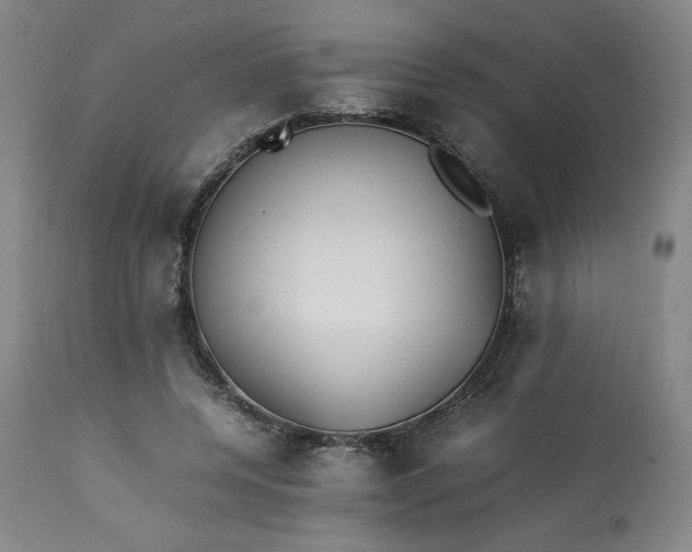 X0000113220544200909241450