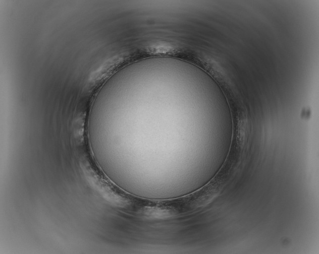 X0000113220545200909241450