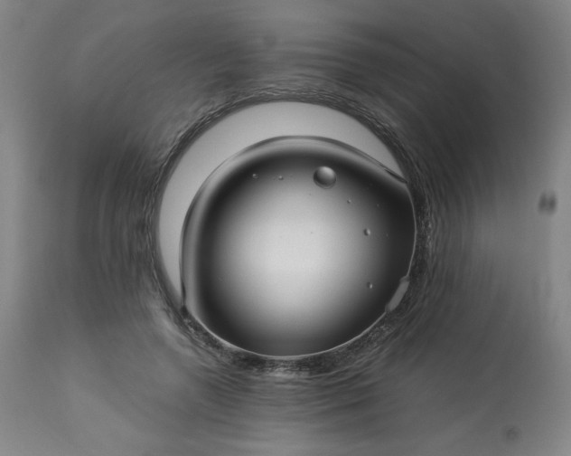 X0000113220546200909241450