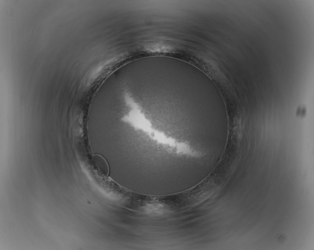 X0000113220547200909241450