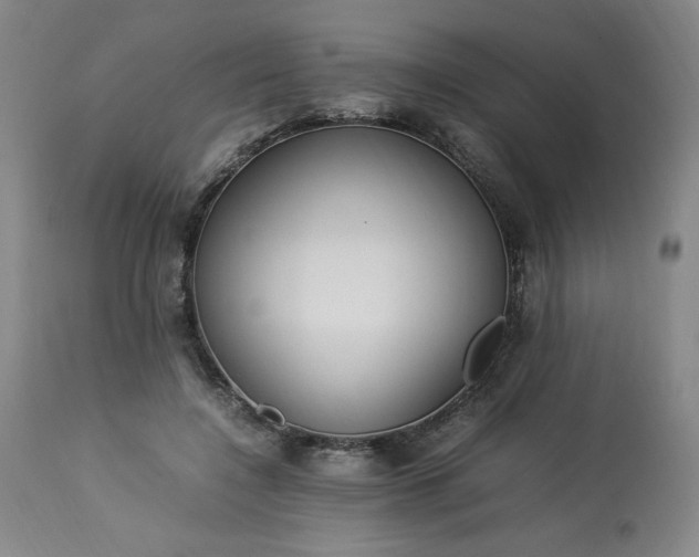 X0000113220548200909241450