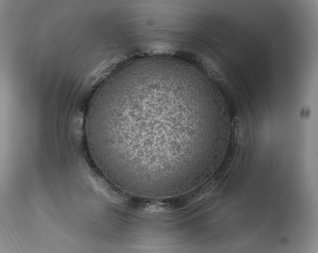 X0000113220550200909241450