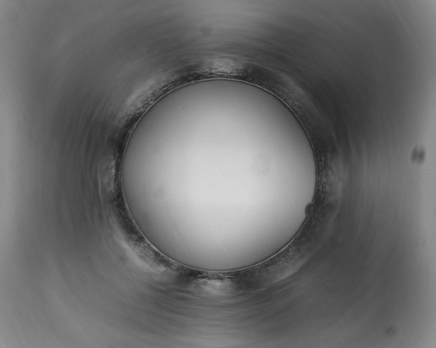 X0000113220552200909241450