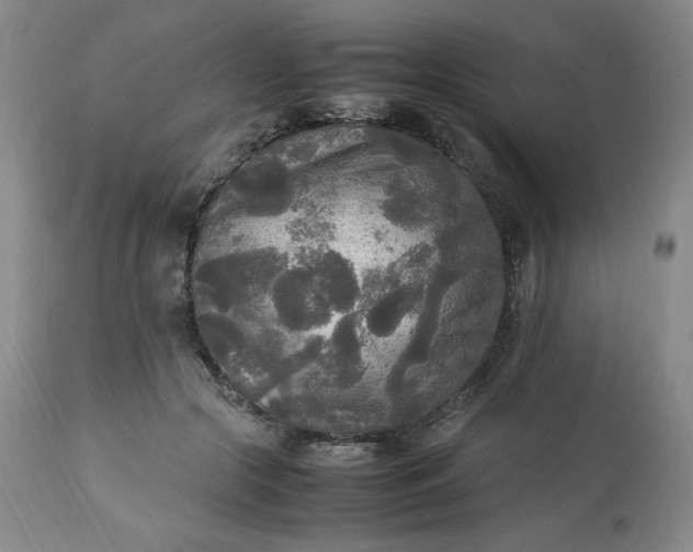 X0000113220553200909241450