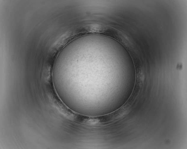 X0000113220554200909241450