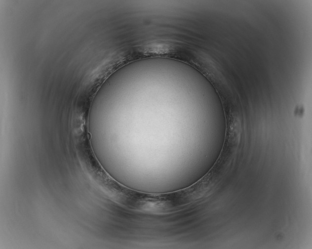 X0000113220555200909241450