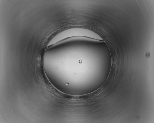 X0000113220556200909241450