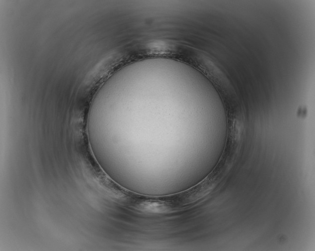 X0000113220557200909241450