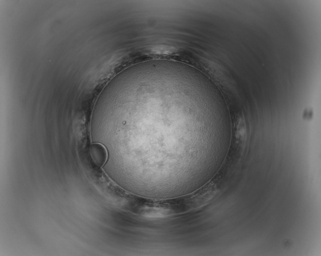 X0000113220559200909241450