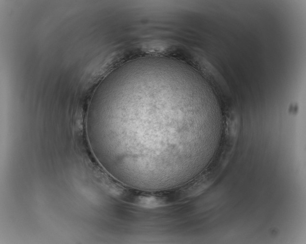 X0000113220561200909241451