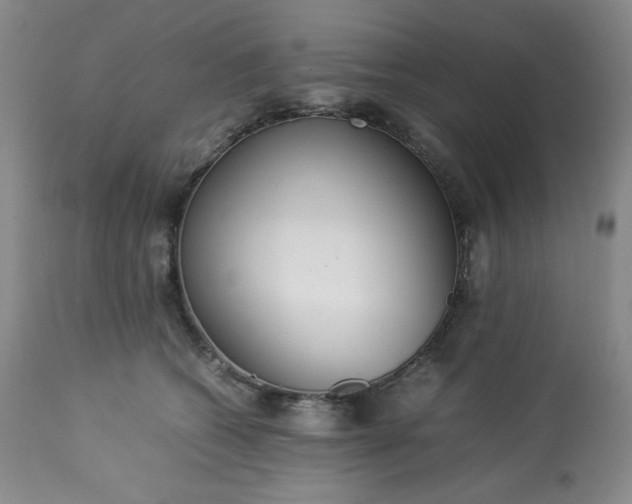 X0000113220562200909241451