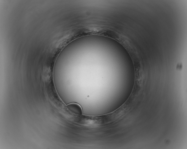 X0000113220563200909241451