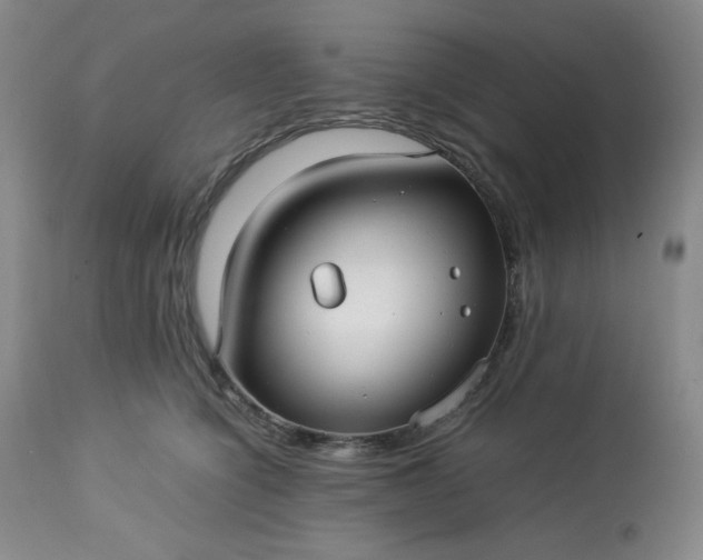 X0000113220564200909241451