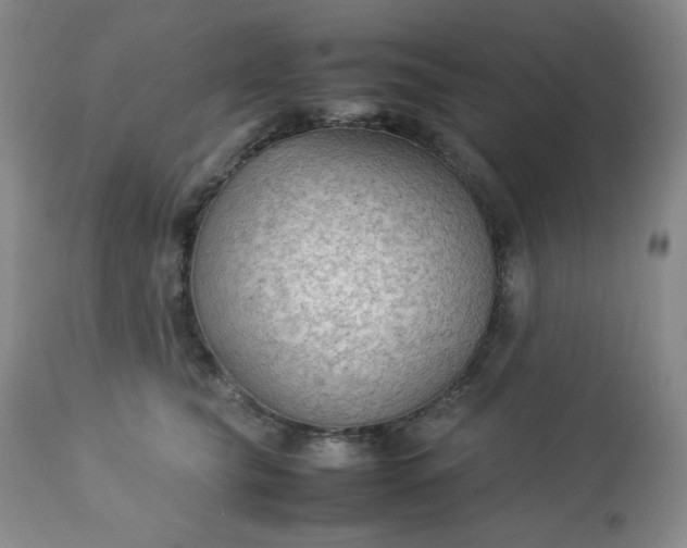 X0000113220565200909241451