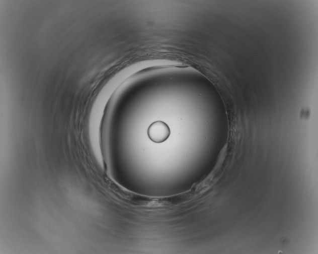 X0000113220566200909241451