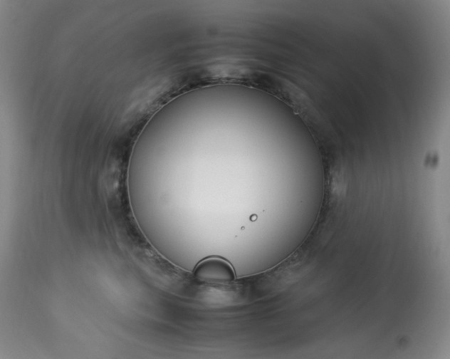 X0000113220567200909241451