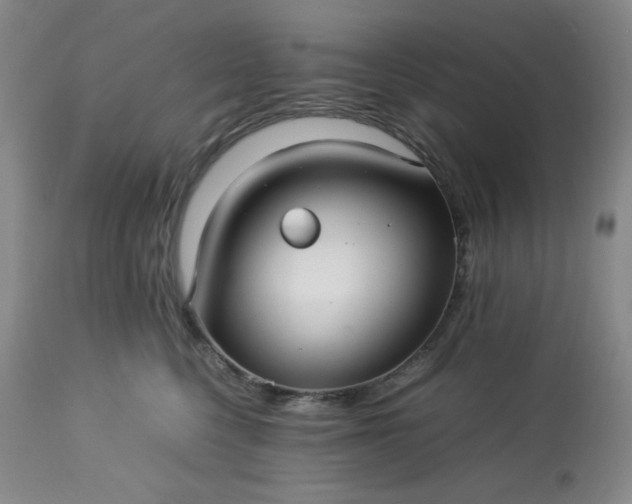 X0000113220568200909241451