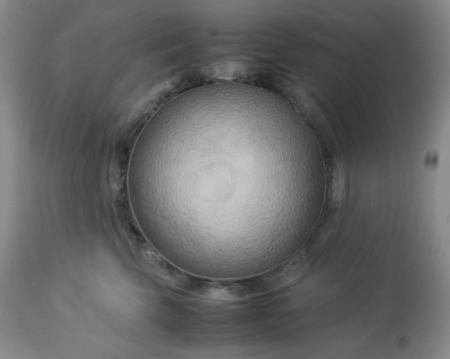 X0000113220569200909241451