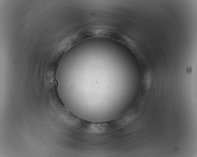 X0000113220571200909241451