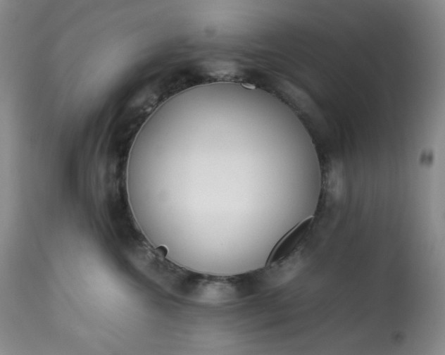 X0000113220572200909241451