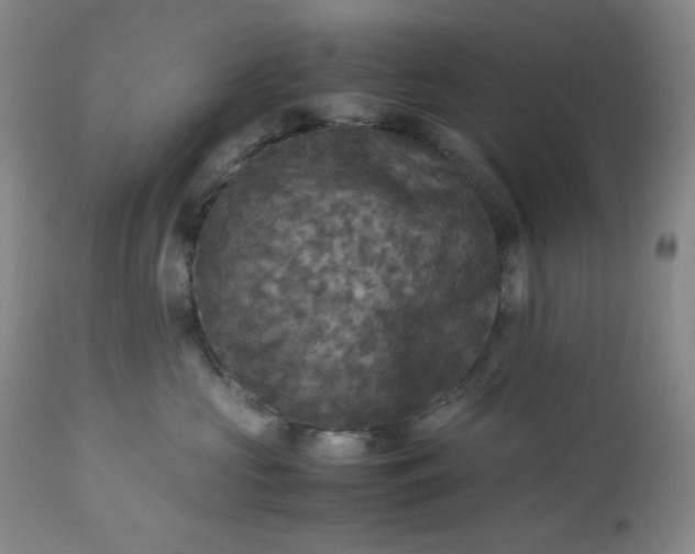 X0000113220573200909241451