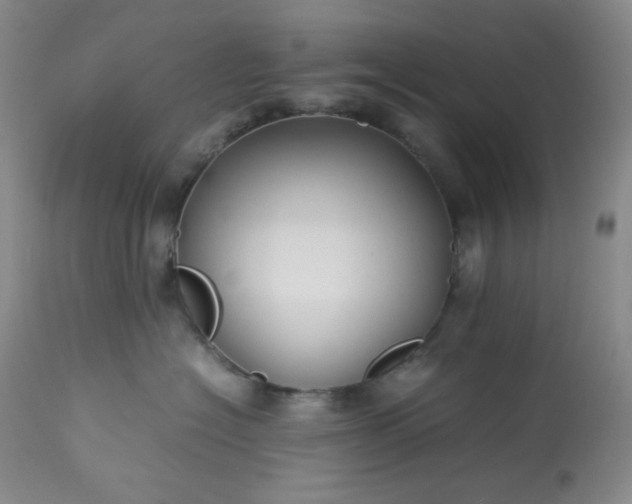 X0000113220574200909241451