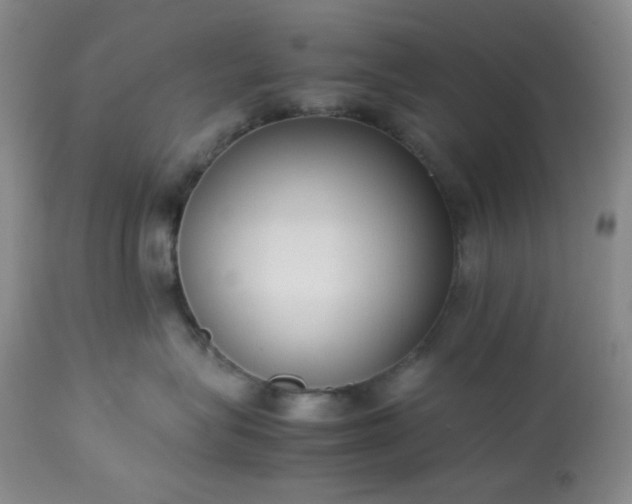 X0000113220575200909241451