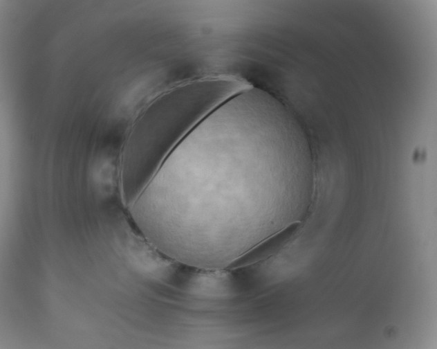 X0000113220576200909241451