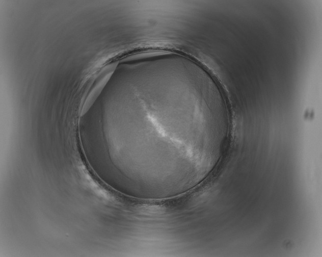 X0000113220577200909241450