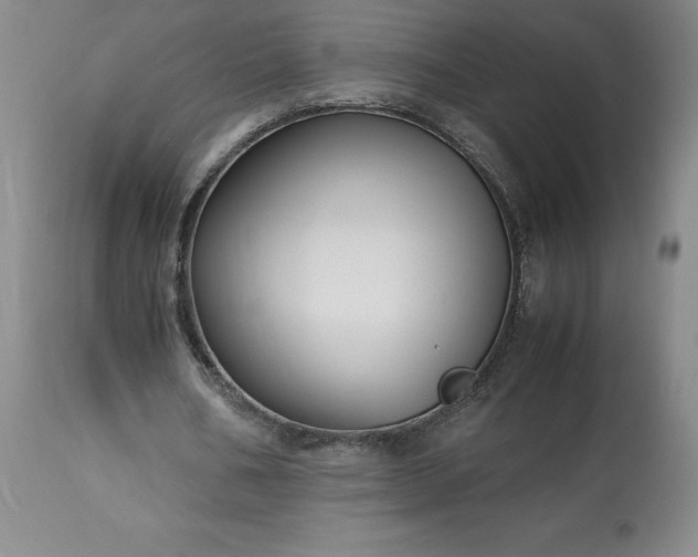 X0000113220578200909241450