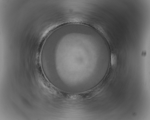 X0000113220579200909241450