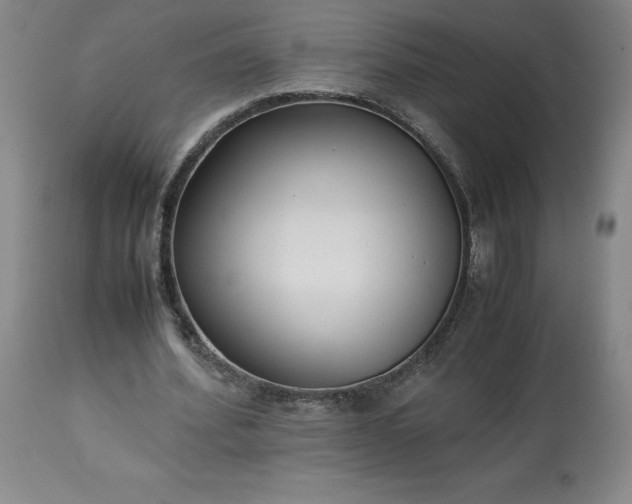 X0000113220580200909241450