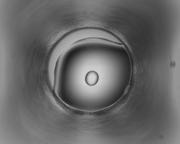 X0000113220581200909241450