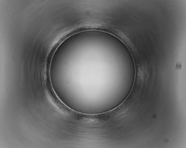 X0000113220582200909241450