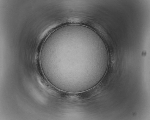 X0000113220583200909241450