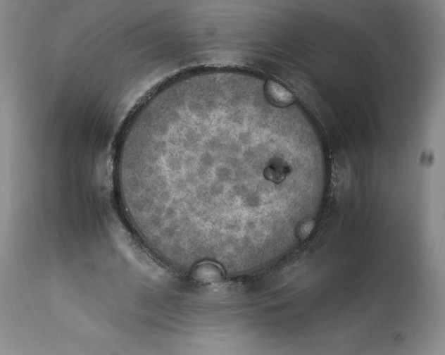 X0000113220584200909241450