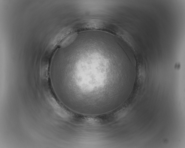 X0000113220585200909241450