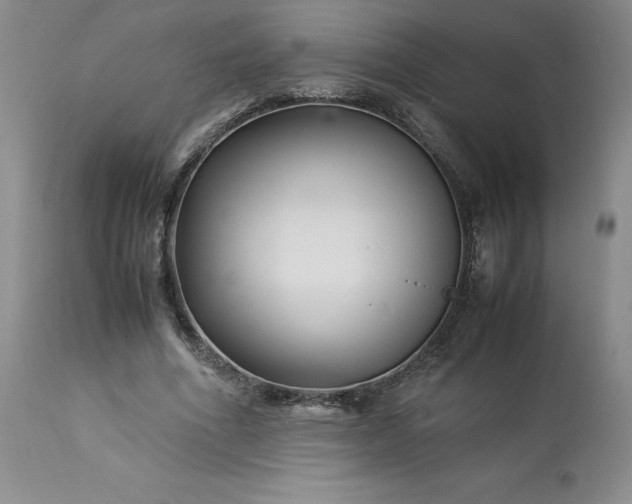 X0000113220586200909241450